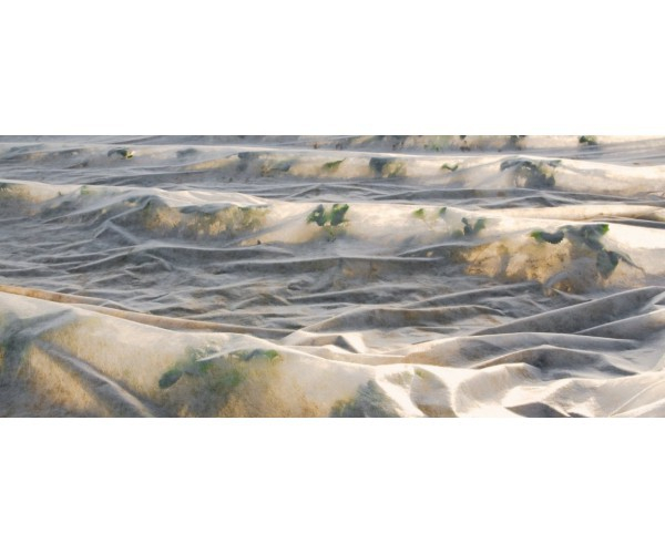 Katteloor 6,35 X 250M